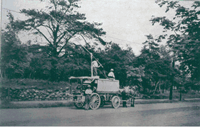 Forest Health and Monitoring Images