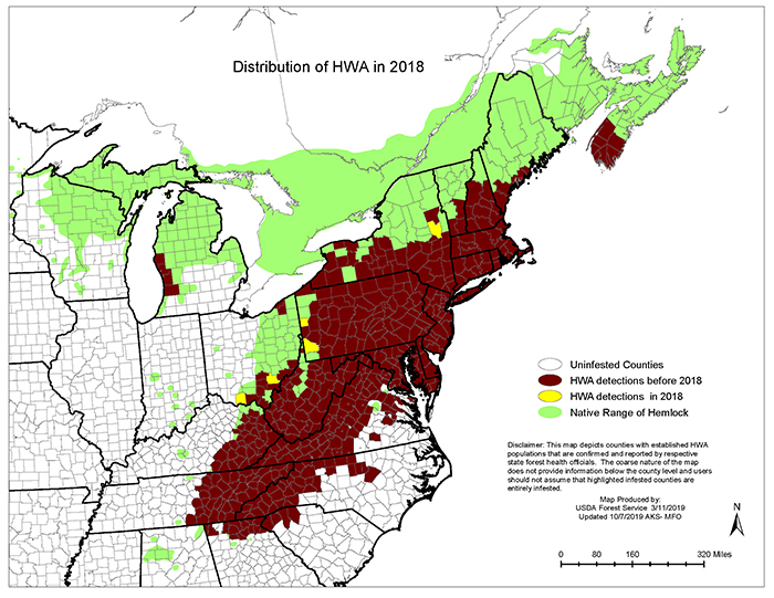 Hemlock Woolly Adelgid Overview: Forest Health & Monitoring: Maine 