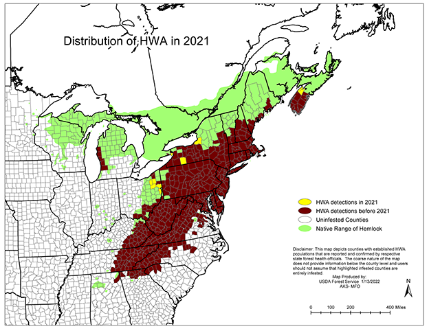 Hemlock Woolly Adelgid Distribution in the Eastern United States.  USFS