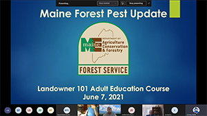 Landowner Class 101: Maine Forest Pest Update