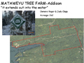 MATAWEYU TREE FARM-Addison
