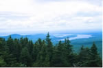 Overlook with lake in background and spruce and fir trees in front