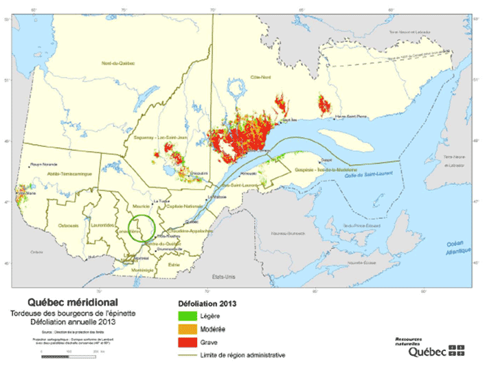 Quebec 2013 Spruce Budworm Defoliation - 8 million acres total defoliated; 6.5 million acres moderate- severe defoliation;  Protected about 5% of defoliated trees