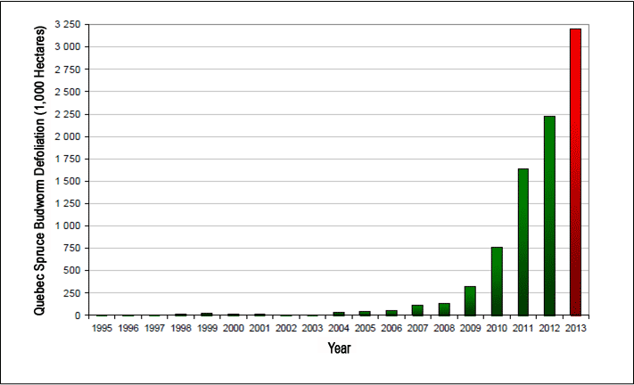 Recent Spruce Budworm Defoliation in Quebec