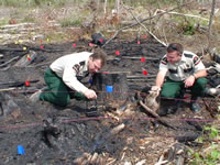Maine Forest Service Rangers Investigating a Fire Scene