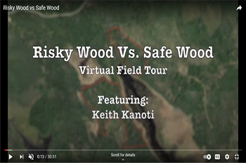 opening slide for Risky Wood versus Safe Wood - Virtual Field Tour video