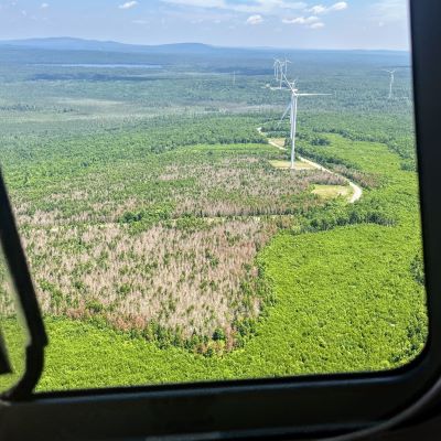 an aerial photo of a wind turbine surrounded by many brownish red trees