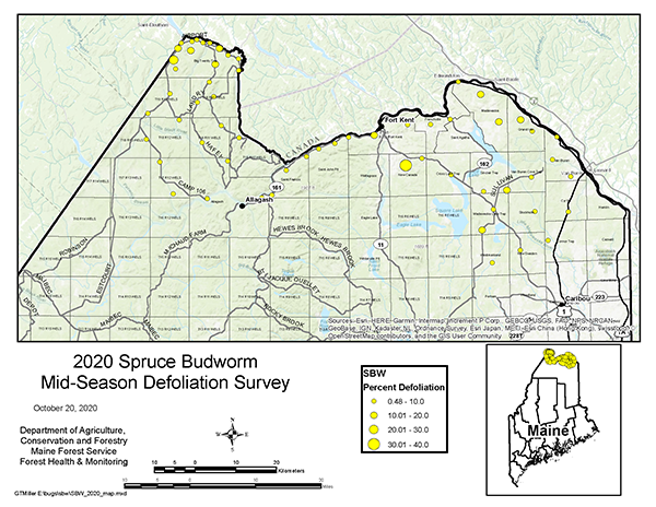 2020 Spruce Budworm Mid-Season Defoliation Survey