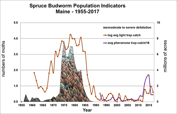 Spruce Budworm Population Indicators: Maine 1955-2017