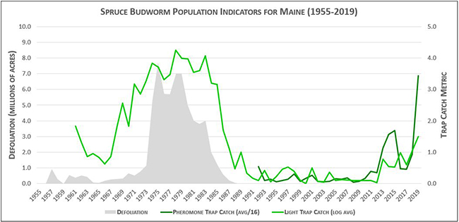 Spruce Budworm Population Indicators: Maine 1955-2019
