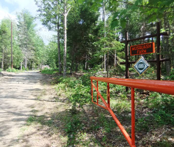 Musquash Farm, Grand Lake Stream