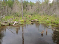 Water ponded upstream of an old crossing is a good indication that the crossing is set too high.