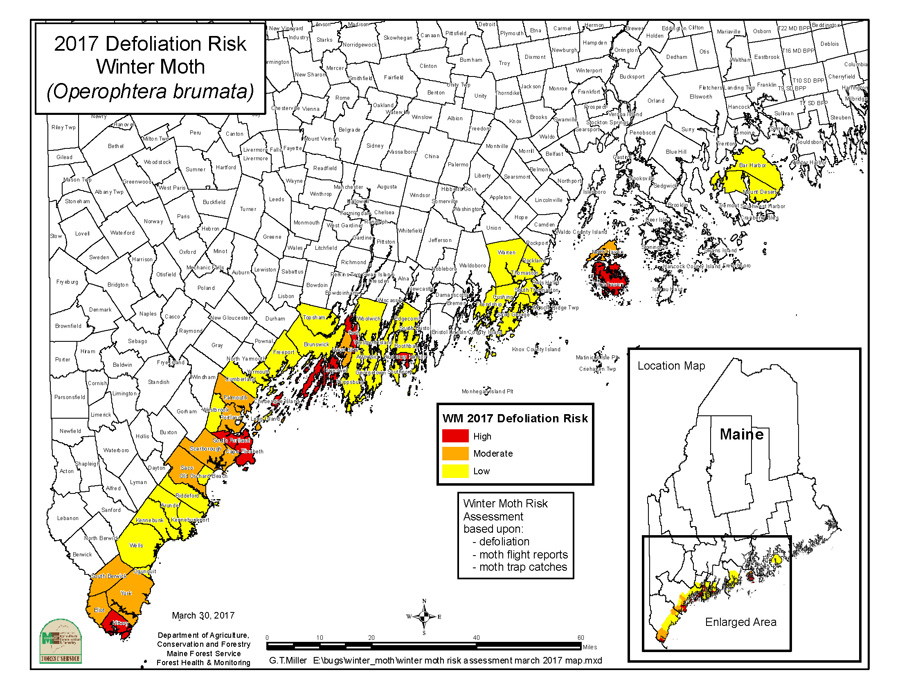 Winter Moth Defoliation Risk Map