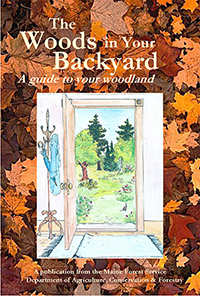 Cover of the The Woods in Your Backyard book