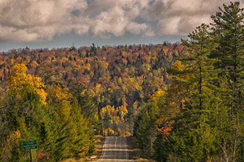 Moosehead Area Road