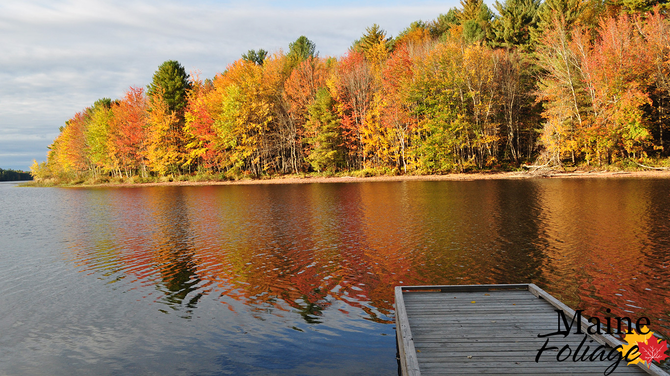 Mainefoliage Com Photo Gallery Foliage Wallpaper HD Wallpapers Download Free Map Images Wallpaper [wallpaper684.blogspot.com]