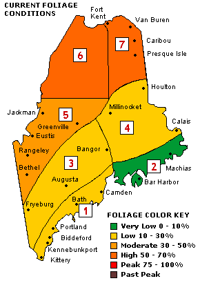 Current Foliage Conditions