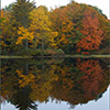 Sticky River Standish, ME  - Photo courtesy of Deanna Pelletier