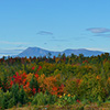 Twin Brook Farm – Mount Chase, ME. Photo Courtesy of Chris Beyer.