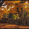 Sabbathday Lake Shaker Village, New Gloucester on October 5, 2014, Photo Courtesy of Vicki Lund Photography