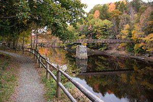 Bangor Maine Foliage