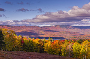 Scenic View in Weld