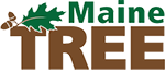 Maine Tree Foundation