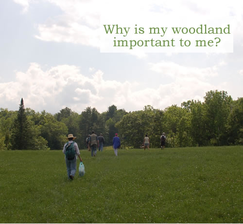 Visitors explore the Webber-Rogers farmstead conservation area in Litchfield. Photo credit:Sarah Fuller