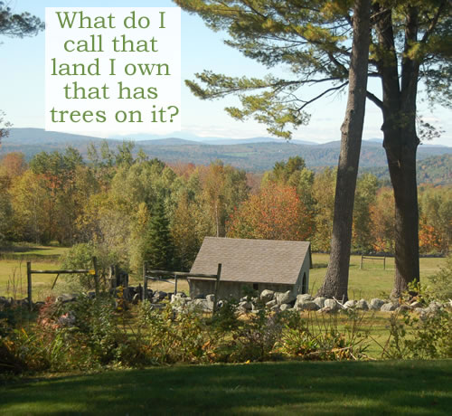 A backyard with a stonewall in the foreground and a small shed behind it and beyond trees and mountains.  Photo credit: Sarah Fuller