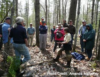 A group of people standing in the woods talking.