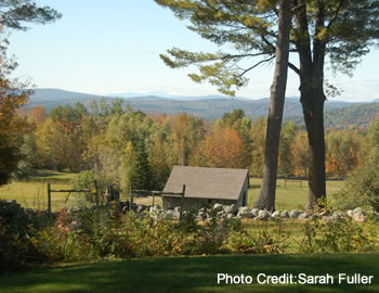 A backyard with a stonewall in the foreground and a small shed behind it and beyond trees and mountains.