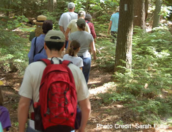 People hike along a wooded trail