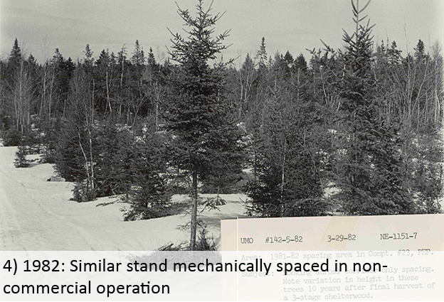 1982: Similar stand mechanically spaced in non-commercial operation