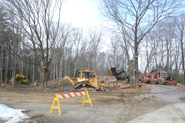 A landing and woodyard area during a timber harvest.