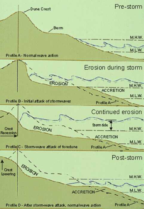 beach changes during storms