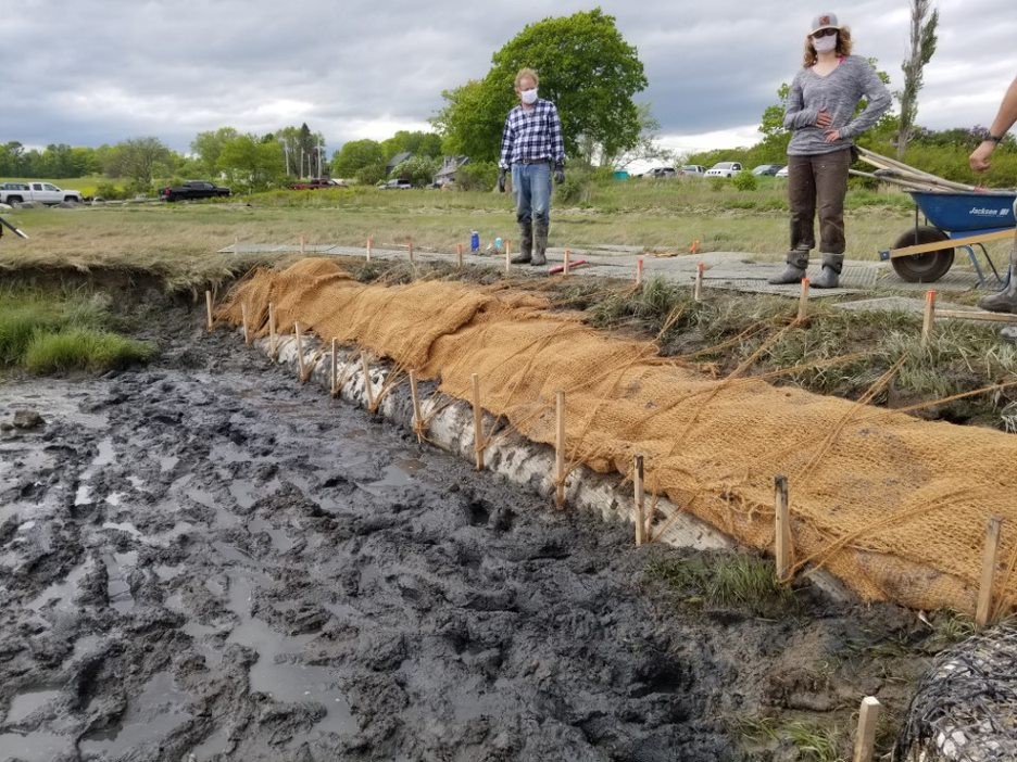 Coir bags staked