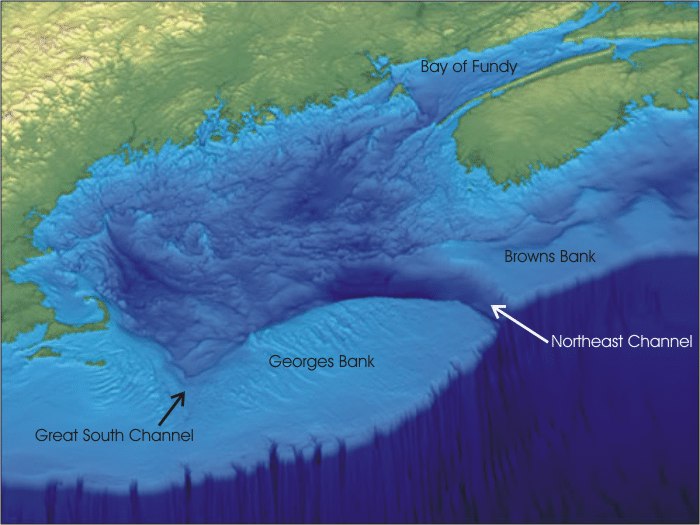 Gulf of Maine bathymetry