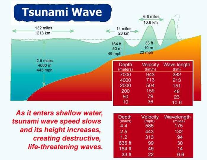 tsunami characteristics