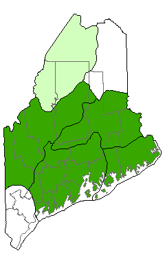 map showing distribution of Rocky Summit Heath in Maine