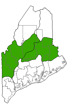 Map showing distribution of Spruce - Fir Krummholz communities in Maine