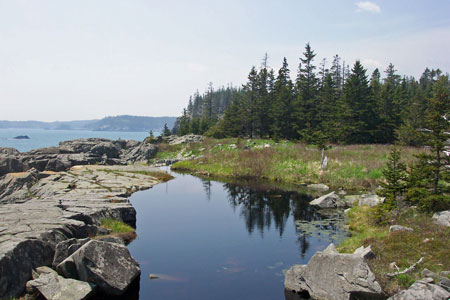 Photo: Coast at Cutler Preserve