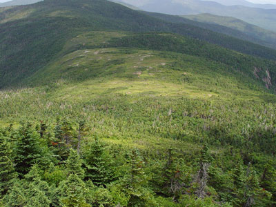 Picture showing Heath Alpine Ridge community