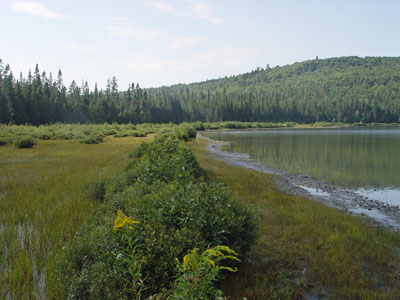 Photo: Gardner Pond, Deboullie Preserve