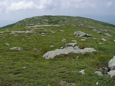 Picture showing Windswept Alpine Ridge community