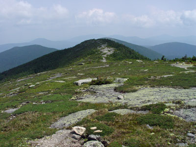 Picture showing Windswept Alpine Ridge community