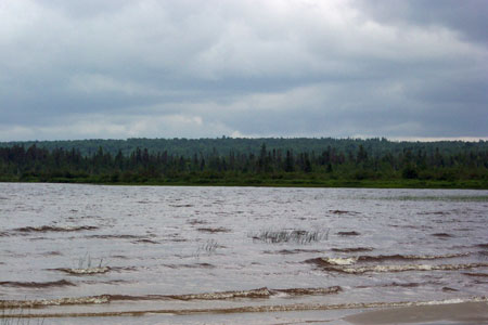 Photo: Image of Gero Island with Chesuncook Lake in foreground