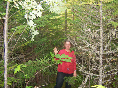 Photo: Ecologist working on a transect at Gero Island