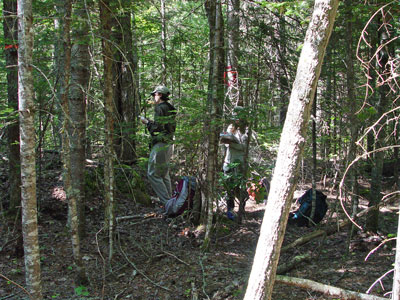 Photo: Ecologists surveying vegetation data along transect line at Great Heath