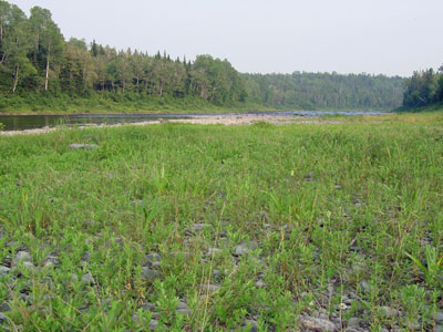 Picture showing Laurentian River Beach community