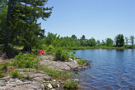 Picture showing Sandy Lake - Bottom community
